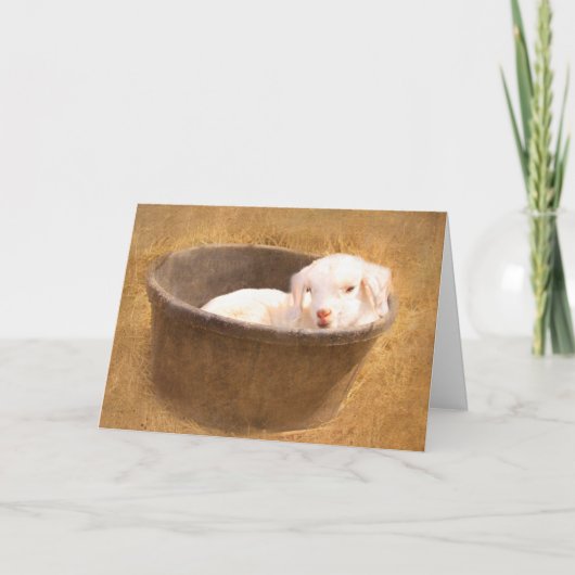 Babyziege in einem Eimer zum Geburtstag Karte (Vorderseite)