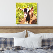 Babyziege mit Blume - gepackte Canvas drucken Leinwanddruck (Insitu (Schlafzimmer))