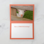 Babyziege Poetry Geburtstagskarte Karte (Innenseite)