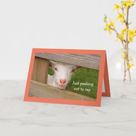 Babyziege Poetry Geburtstagskarte Karte (Gelbe Blume)