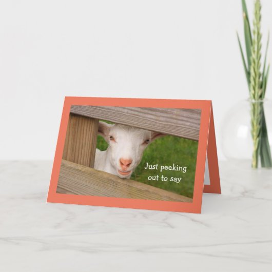 Babyziege Poetry Geburtstagskarte Karte (Vorderseite)