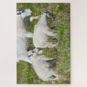 Babyziegen auf dem Rainier Puzzle (Vertikal)