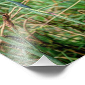 Babyziegen Fotodruck (Ecke)