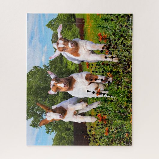 "Babyziegen" Puzzle (Vertikal)