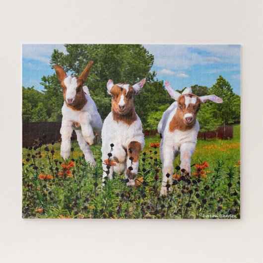 "Babyziegen" Puzzle (Horizontal)