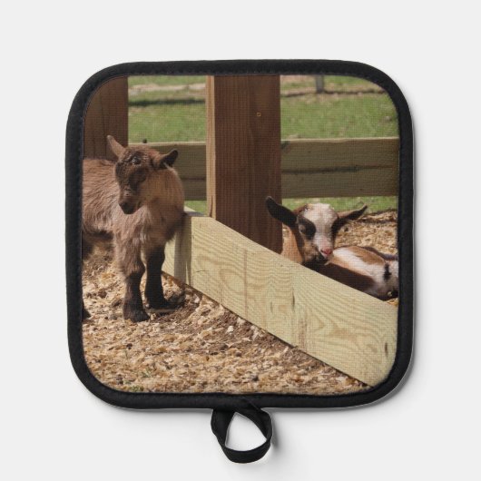 Babyziegen Topflappen (Vorderseite)