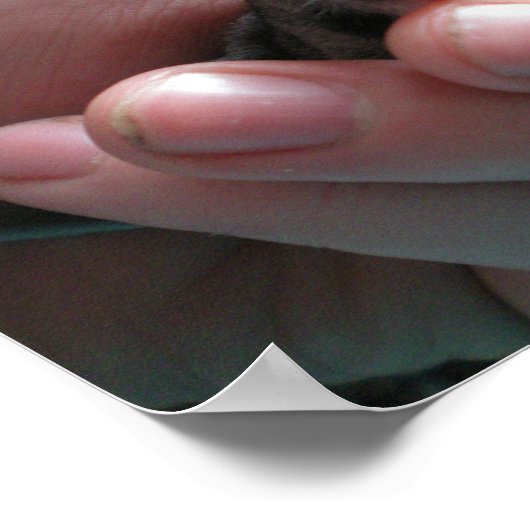 Babyzuckergleiter Poster (Ecke)