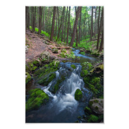 Bach entlang des Weges Fotodruck