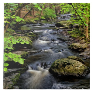 Bach fließt durch den Wald Fliese