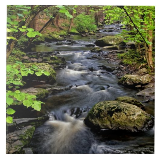 Bach fließt durch den Wald Fliese (Vorderseite)