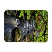 Bach fließt durch den Wald Magnet (Horizontal)
