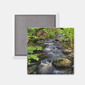 Bach fließt durch den Wald Magnet (Vorderseite/Rückseite)