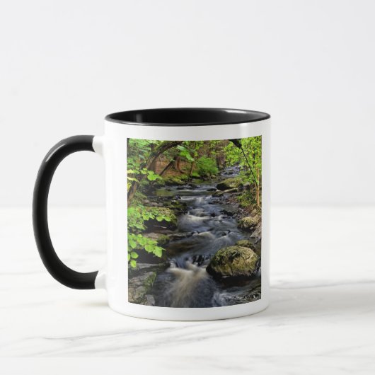 Bach fließt durch den Wald Tasse (Links)