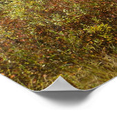 Bach in der Nähe von Redfish Lake, Idaho. Poster (Ecke)