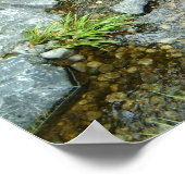 Bach in Japan Poster (Ecke)