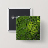 Bach MA Nationalpark Button (Vorne & Hinten)