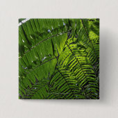 Bach MA Nationalpark Button (Vorderseite)