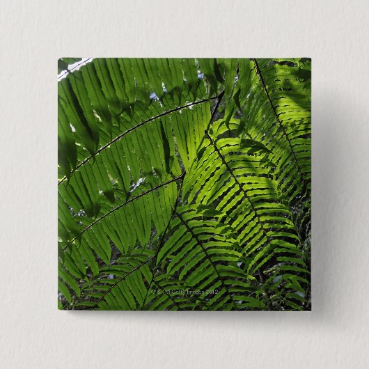 Bach MA Nationalpark Button (Vorderseite)