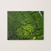 Bach MA Nationalpark Puzzle (Horizontal)