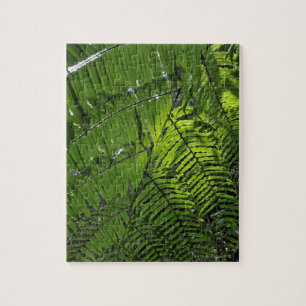 Bach MA Nationalpark Puzzle