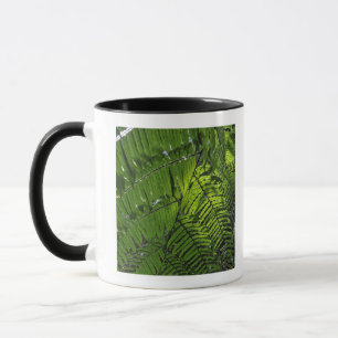 Bach MA Nationalpark Tasse