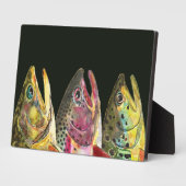 Bach, Regenbogen, Braunwaldfischerei Fotoplatte (Seite)