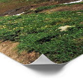 Bachalpsee Poster (Ecke)