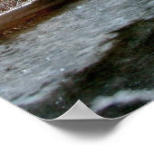 Bachbucht Poster (Ecke)