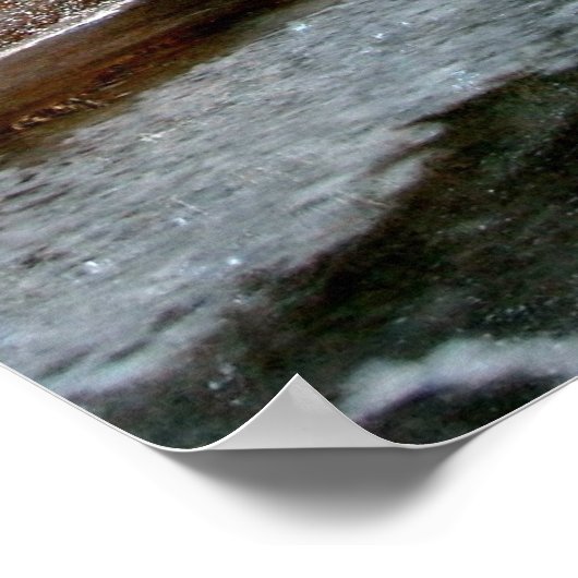 Bachbucht Poster (Ecke)