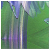 Bachelor Buttons.... Stoff (Nahaufnahme)