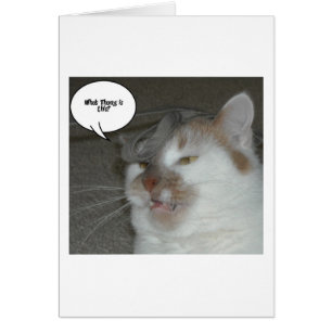 Bachelor Party Spaß