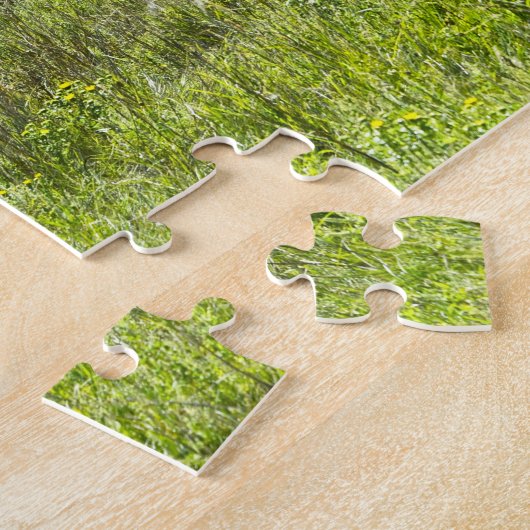 Bachelor Pronghorn Antelopes, Süddakota Puzzle (Seite)