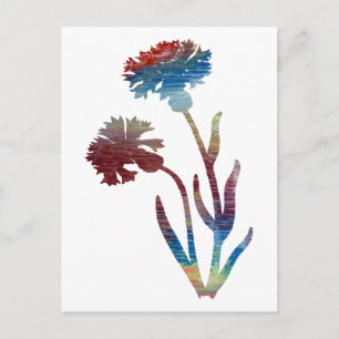 Bachelor-Taste Postkarte