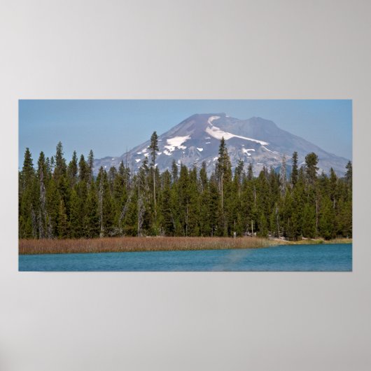 Bachelor vom Little Lava Lake, Oregon Poster (Vorne)