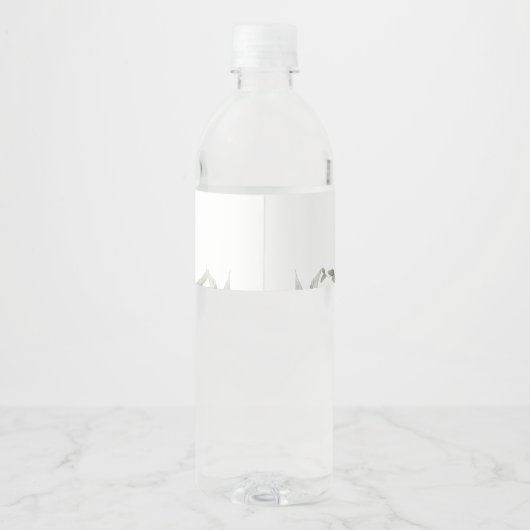 Bachelorette Weekend Gastgeschenk Personalisiertes Wasserflaschenetikett (Rückseite)