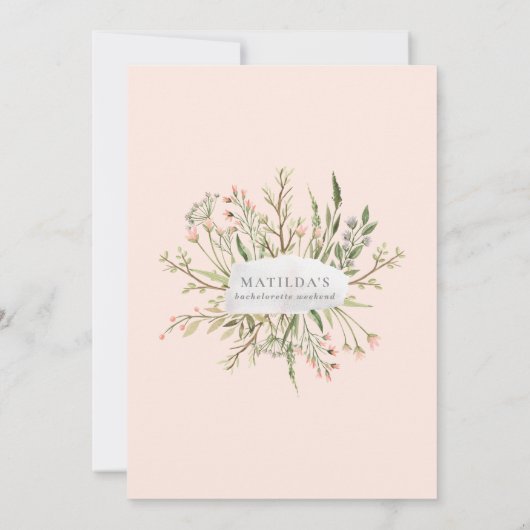 Bacheloretto Bacheloretto (Rückseite)