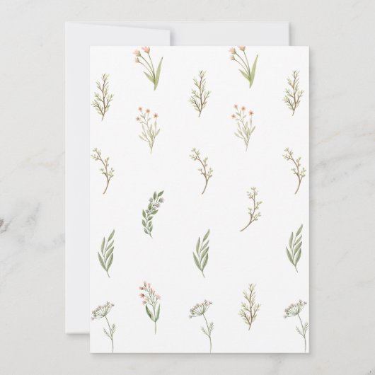 Bacheloretto Bacheloretto (Rückseite)