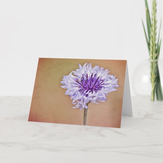 Bachelors Button Art Note Card Karte (Vorderseite)