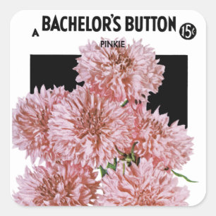 Bachelor's Button Seed Packet Label Quadratischer Aufkleber