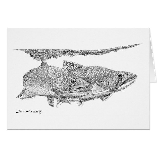 Bachforelle (Vorderseite (Horizontal))