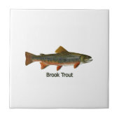 Bachforelle (betitelt) fliese (Vorderseite)