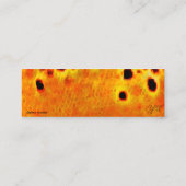 Bachforelle - dünne Karte (Rückseite)