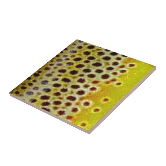 Bachforelle durch PatternWear© Fliese (Seite)