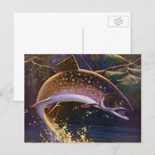 Bachforelle Fisch Angler, Vintage Sportfischen Postkarte