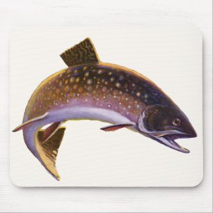 Bachforelle Fisch, Vintage Angelsport Fischer Mousepad