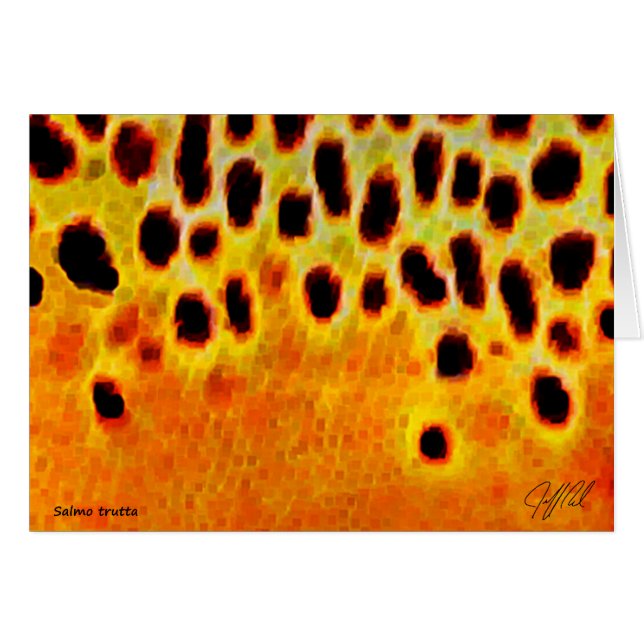 Bachforelle - Karte (Vorderseite (Horizontal))