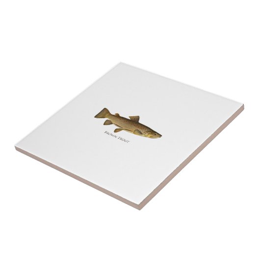 Bachforelle-Logo Fliese (Seite)