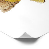 Bachforelle Poster (Ecke)