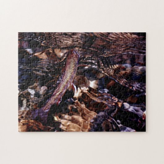 Bachforelle Puzzle (Horizontal)