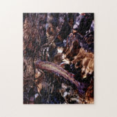 Bachforelle Puzzle (Vertikal)